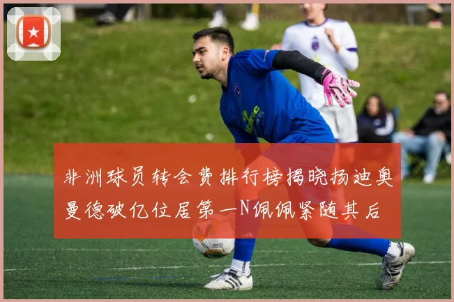 非洲球员转会费排行榜揭晓扬迪奥曼德破亿位居第一N佩佩紧随其后