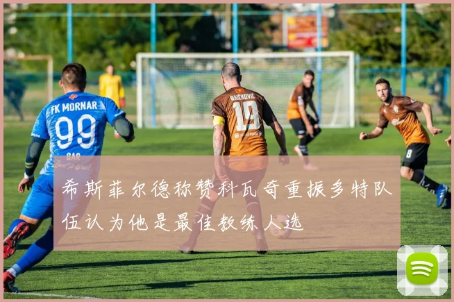 希斯菲尔德称赞科瓦奇重振多特队伍认为他是最佳教练人选